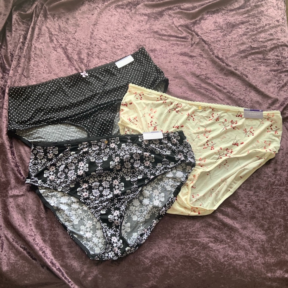 NWT Panty bundle 2x